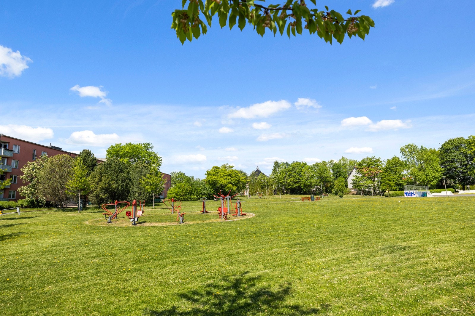 - Nærområde - Galleribilde