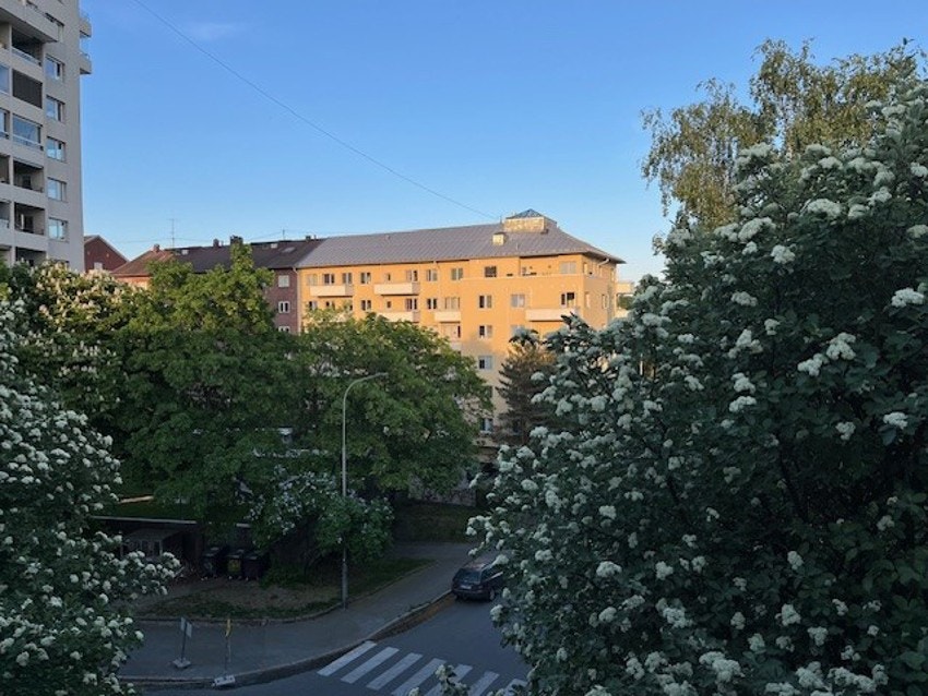 Selgers private bilde. Galleribilde