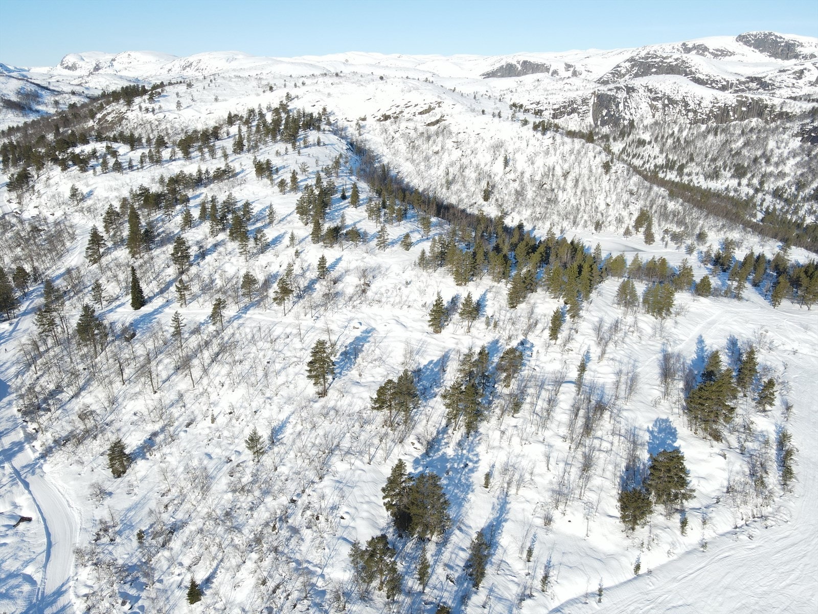 Feltet ligger veldig sentralt til med langrennsløyper og lysløyper rett ved feltet - samt kort vei til alpinanlegget! Galleribilde
