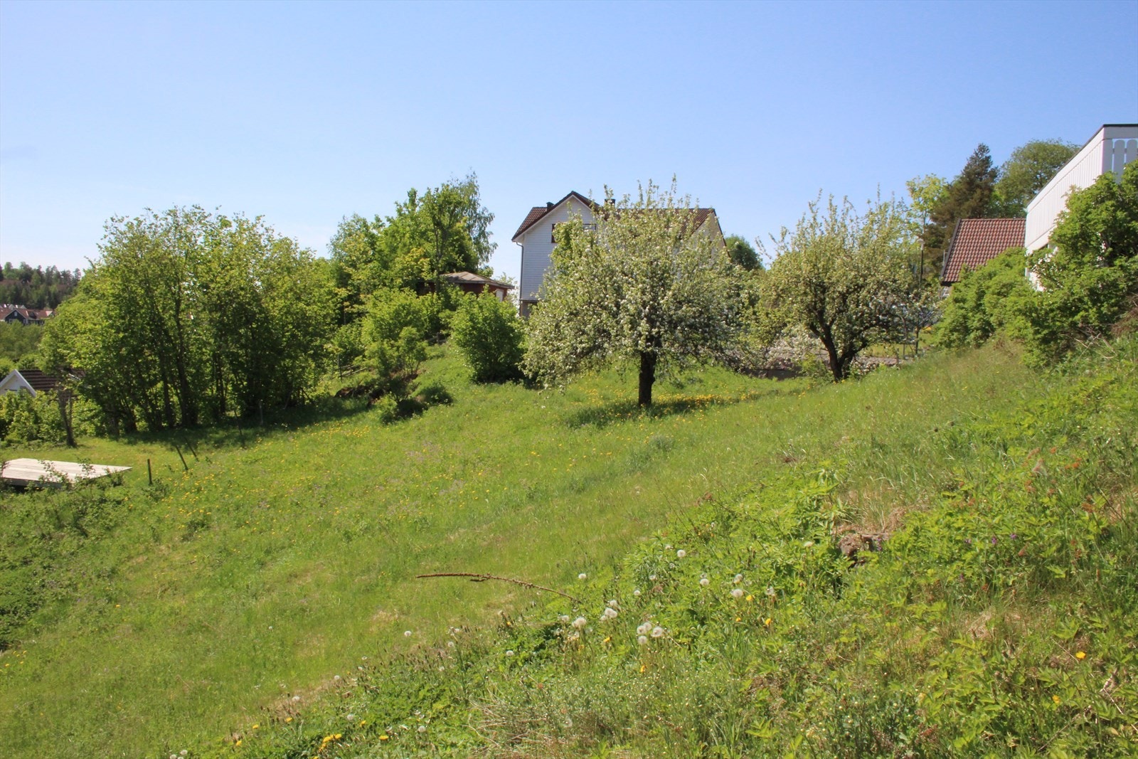 Selgers bilder. Galleribilde