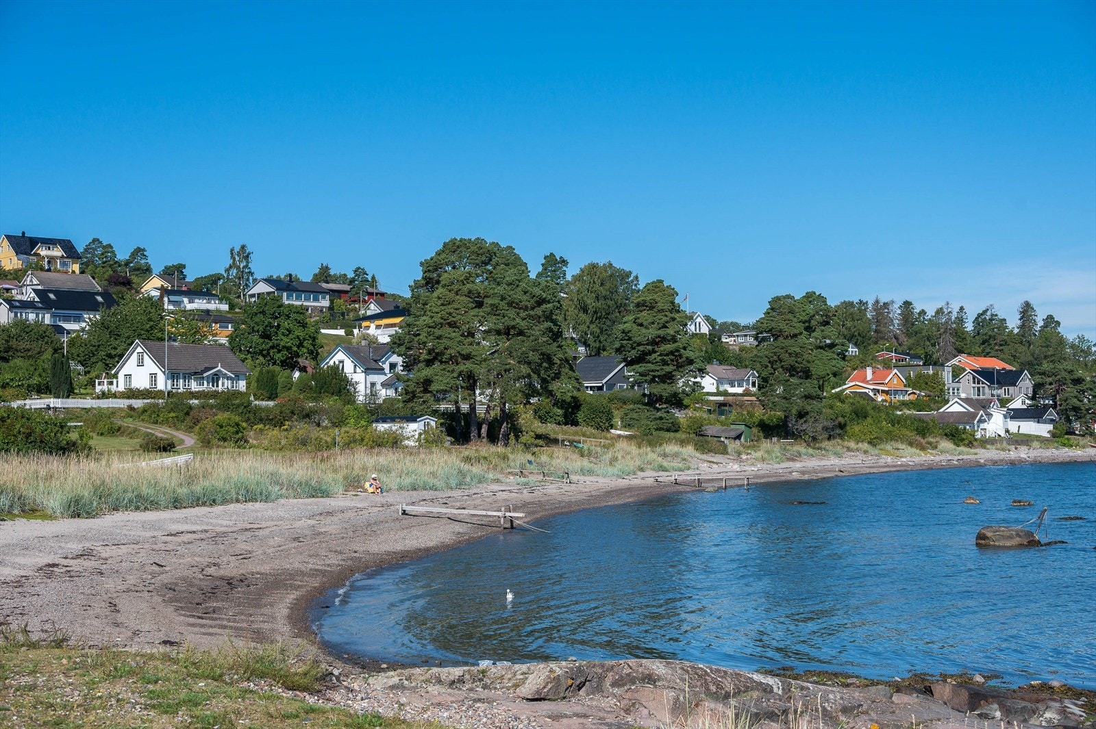 Feskjær. Galleribilde