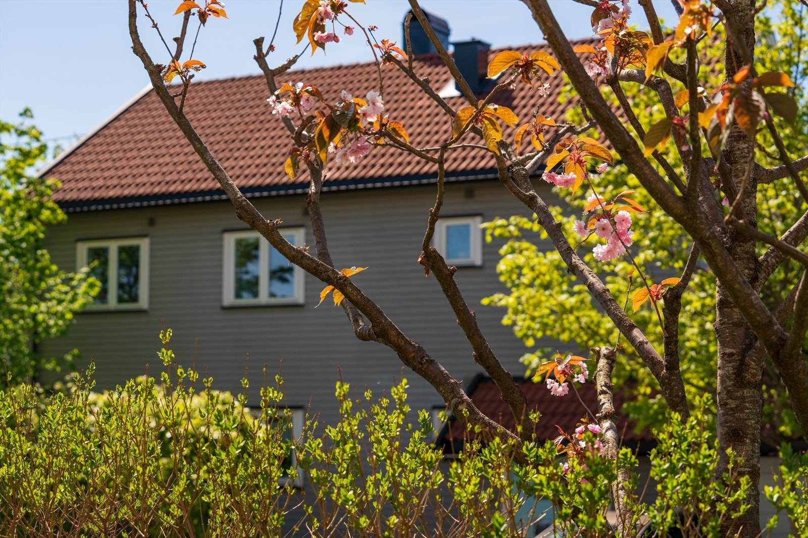 Frydenberg ligger solfylt og fritt til midt mellom fjorden og marka, med like kort vei til begge deler Galleribilde