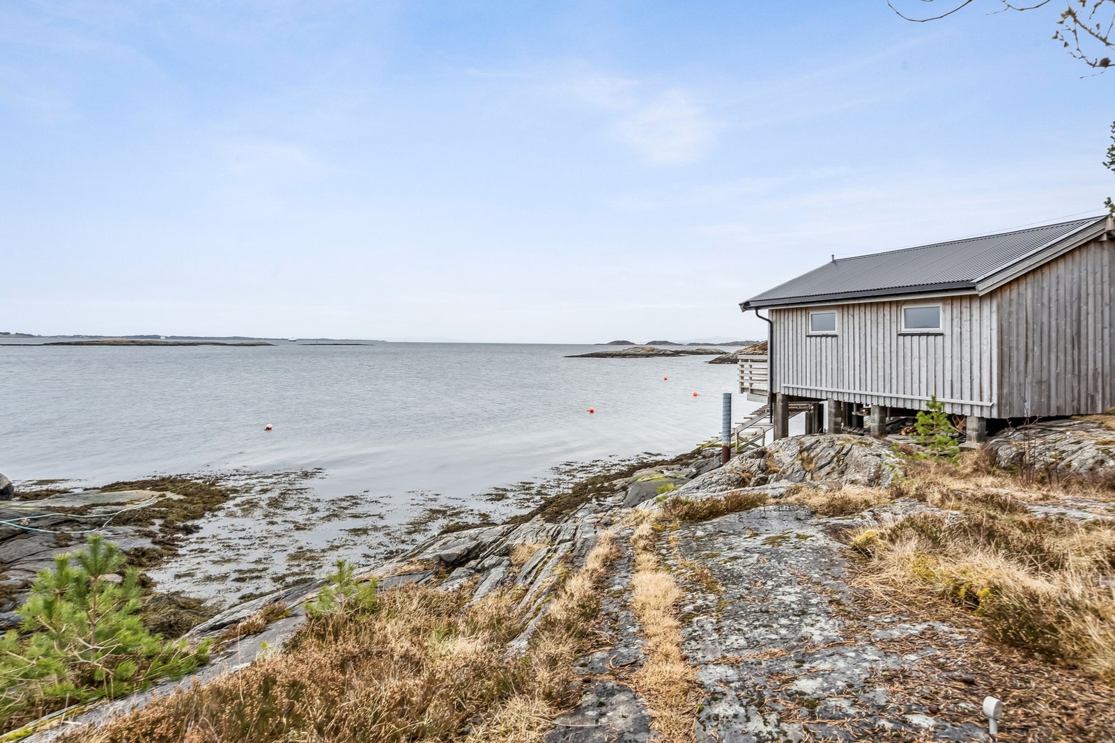 Nausttomt Galleribilde