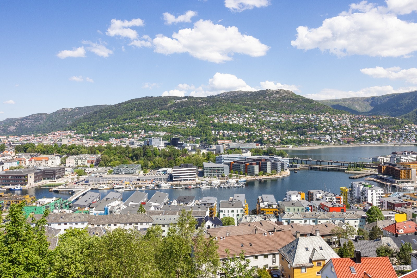 Flott utsikt mot Store Lungegårdsvannet Galleribilde