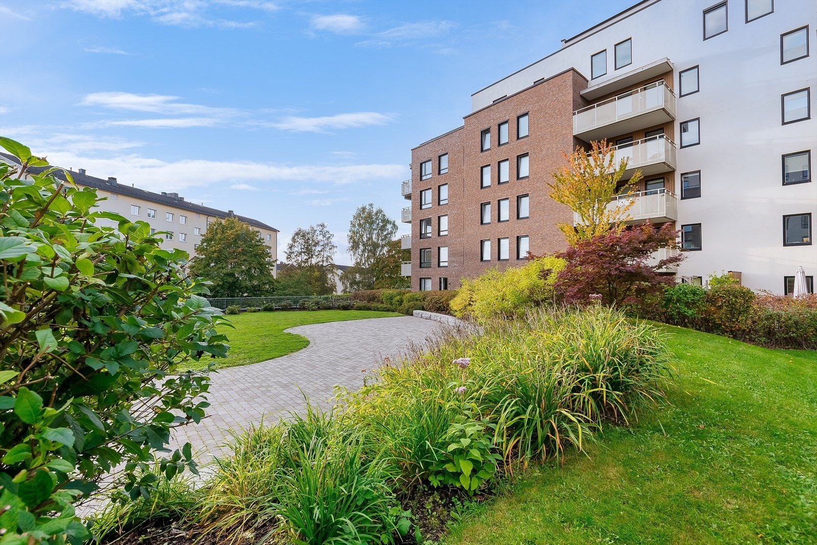 Frodige fellesområder. Galleribilde