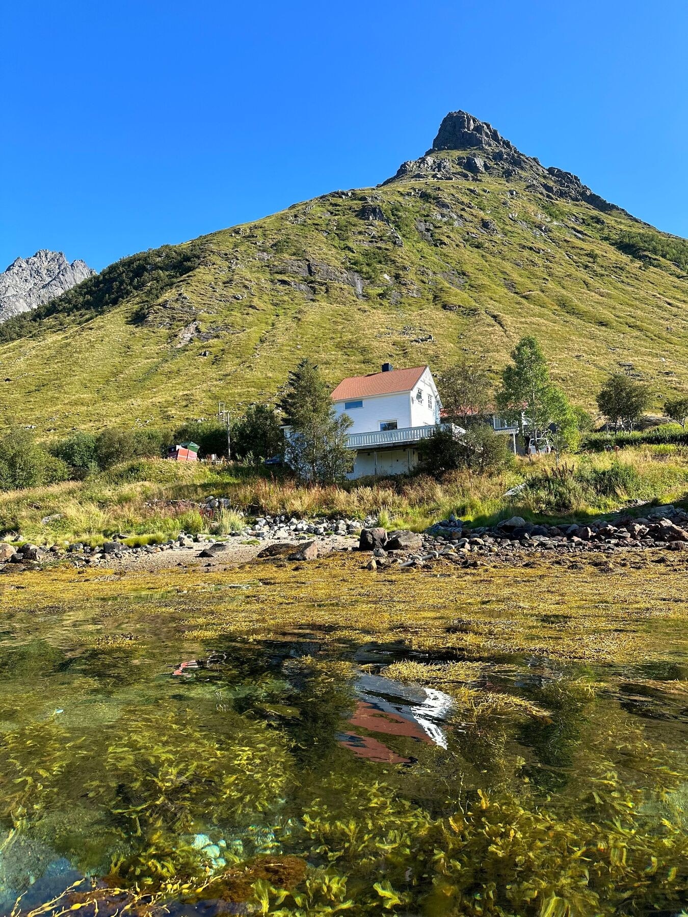 Privat bilde fra selger - tatt fra sjøen mot eiendommen Galleribilde