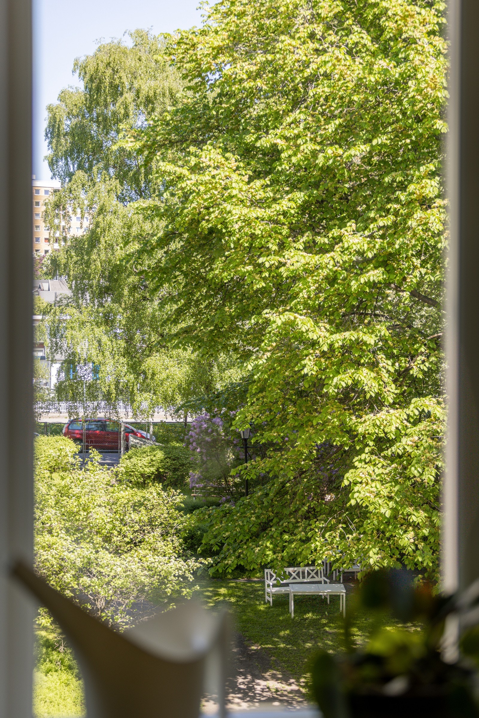 Stor vindusflate som vender ut mot frodig bakgård. Galleribilde