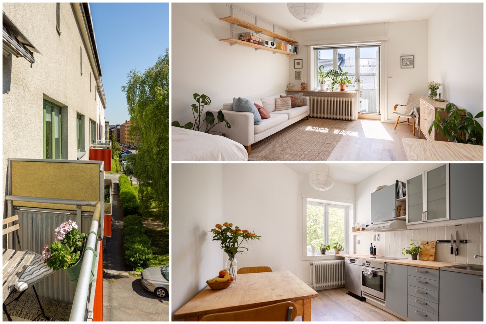 Velkommen til Sagene og Mogata 6 A! Galleribilde