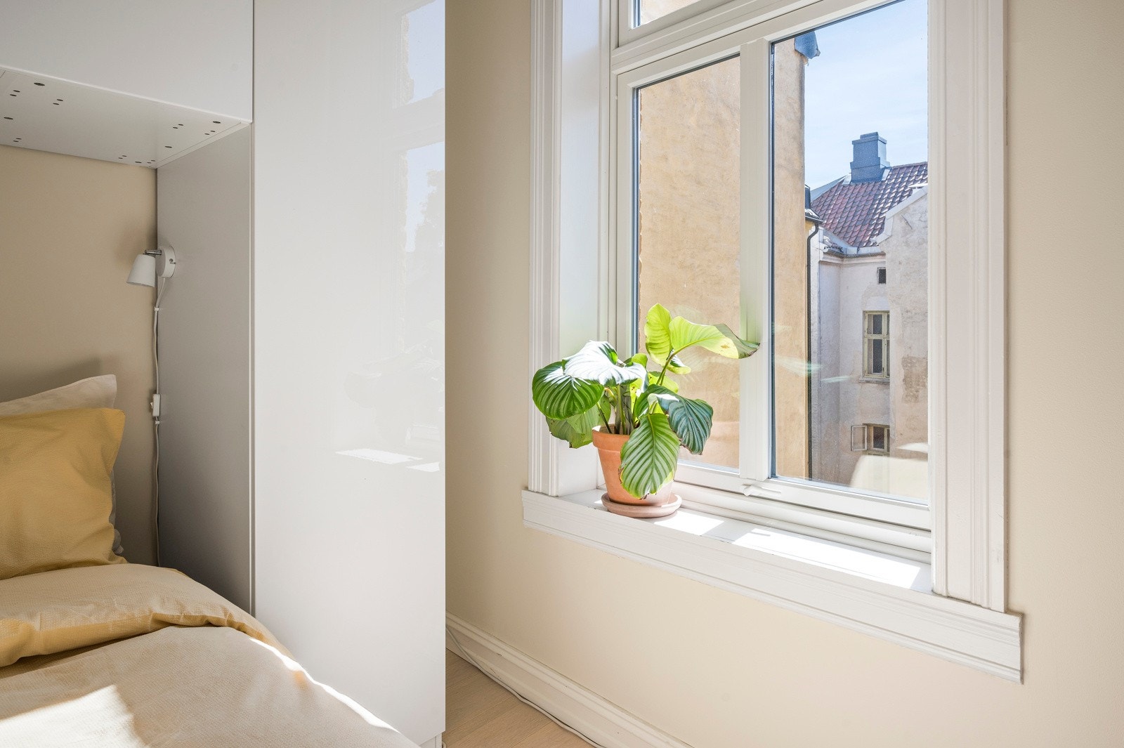 Alle vinduene var nye i 2020. Galleribilde