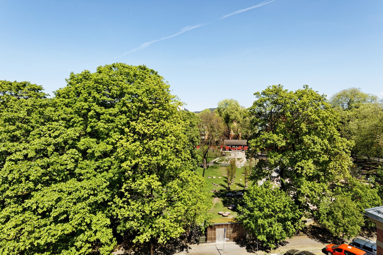 Grønt og frodig utsyn mot Sofienbergparken Galleribilde