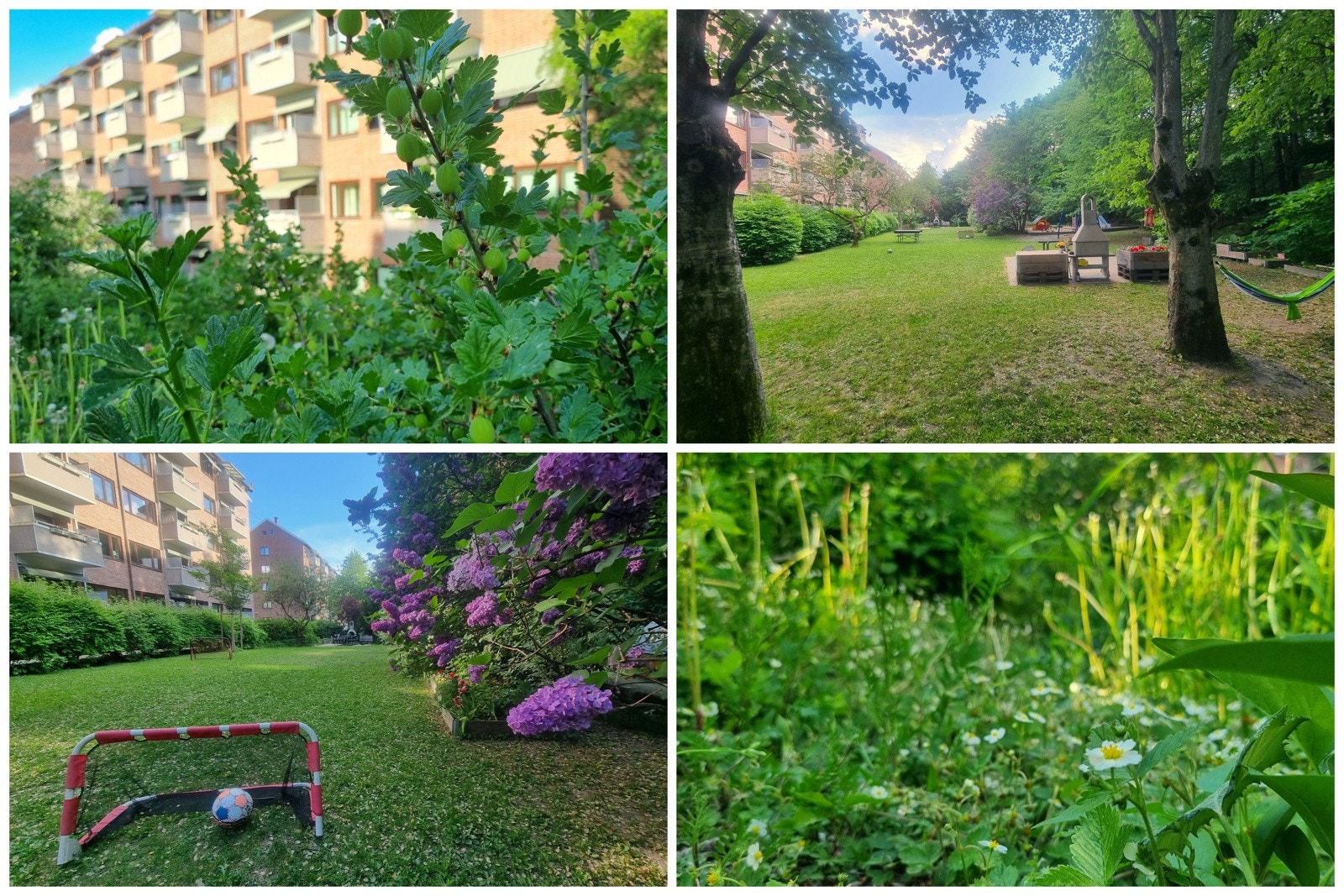 Ideelt for barnefamilier med en fantastisk felles hage på baksiden av borettslagets andre bygning samt felles "bærhage" i skråningen rett utenfor balkongen hvor du selv kan plukke rips, solbær, stikkelsbær, rabarbra og markjordbær. Galleribilde