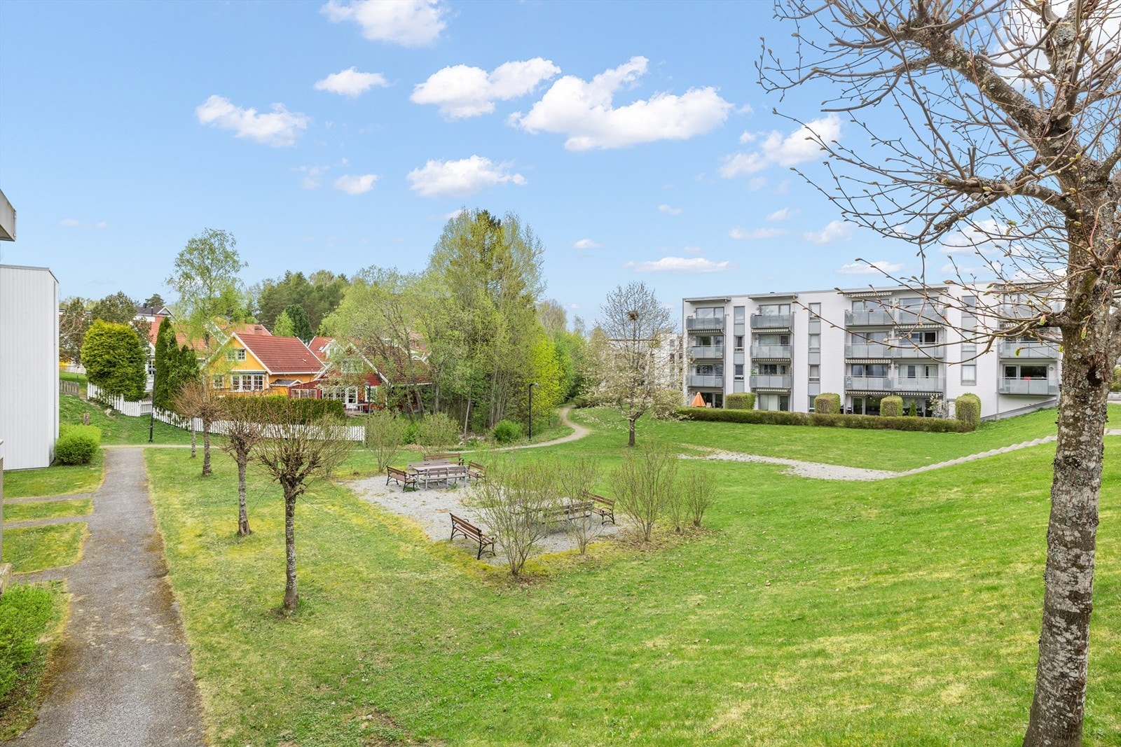 Felles grøntområder Galleribilde