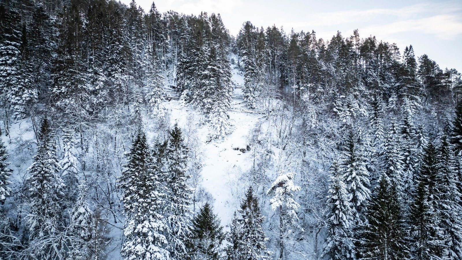 Dronebilde 11 Galleribilde