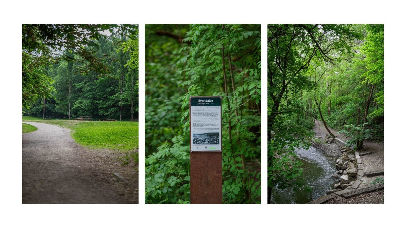 Rett bak Kværnerbyen ligger fantastiske Svartdalsparken, som byr på byens fineste turmuligheter med urskog og Alnaelva som går gjennom området. Galleribilde