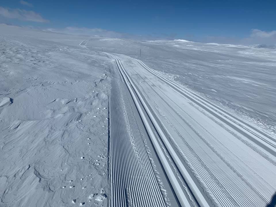 Over 100 km langrennsløyper rett utenfor hytten Galleribilde