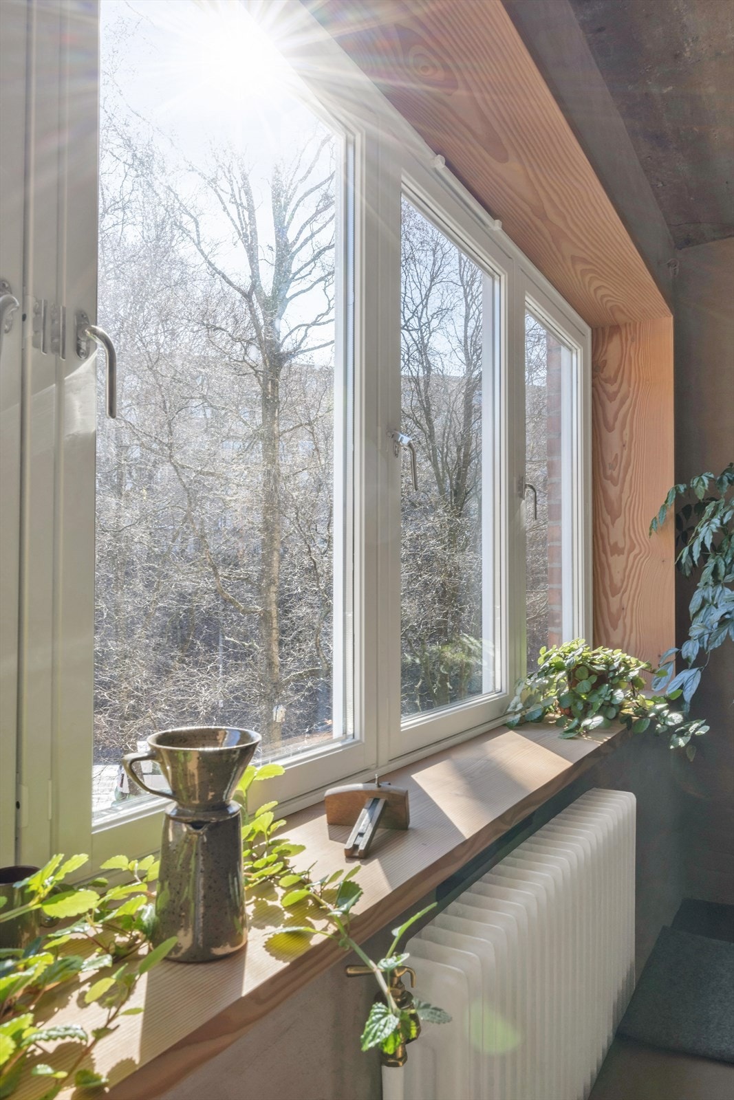 Store vindusflater med dype foringer av Douglasgran fra Dienesen slipper inn pent med naturlig lys Galleribilde