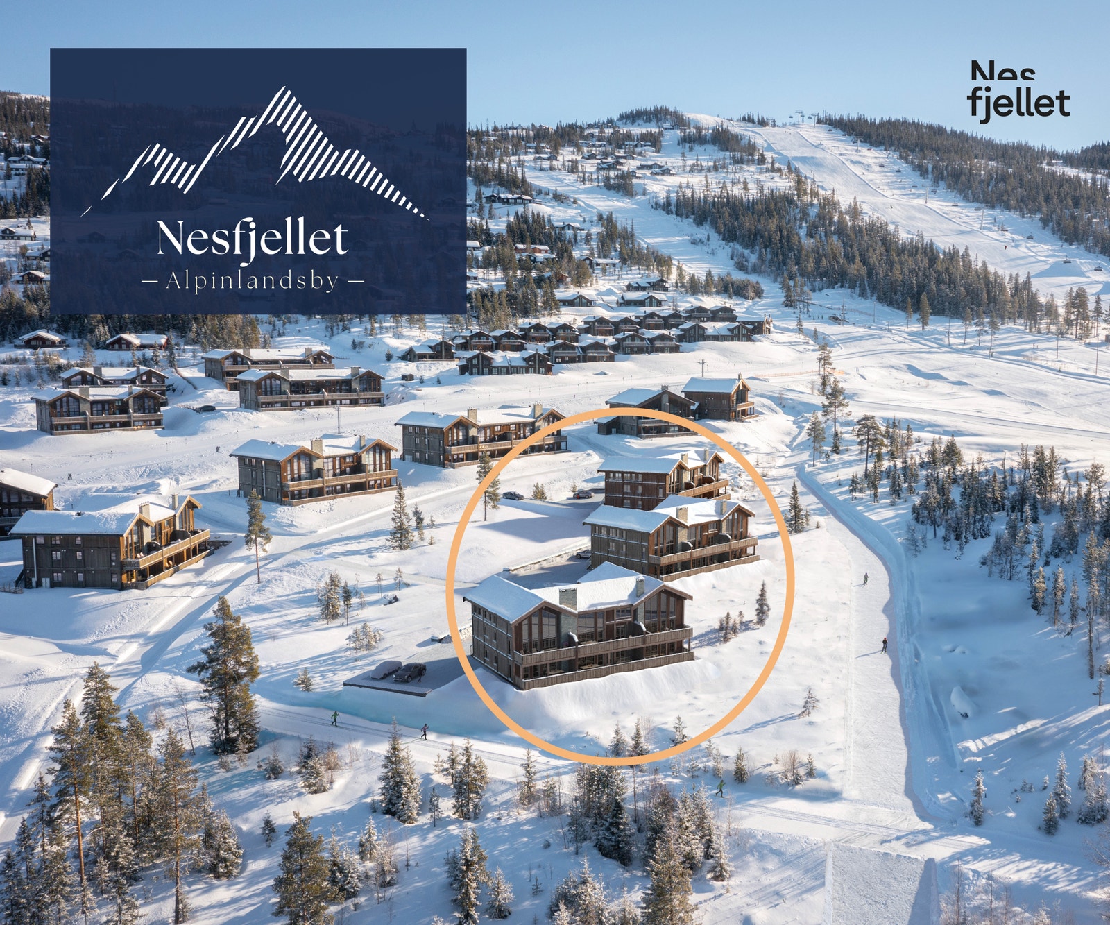 Prosjektbilde Galleribilde