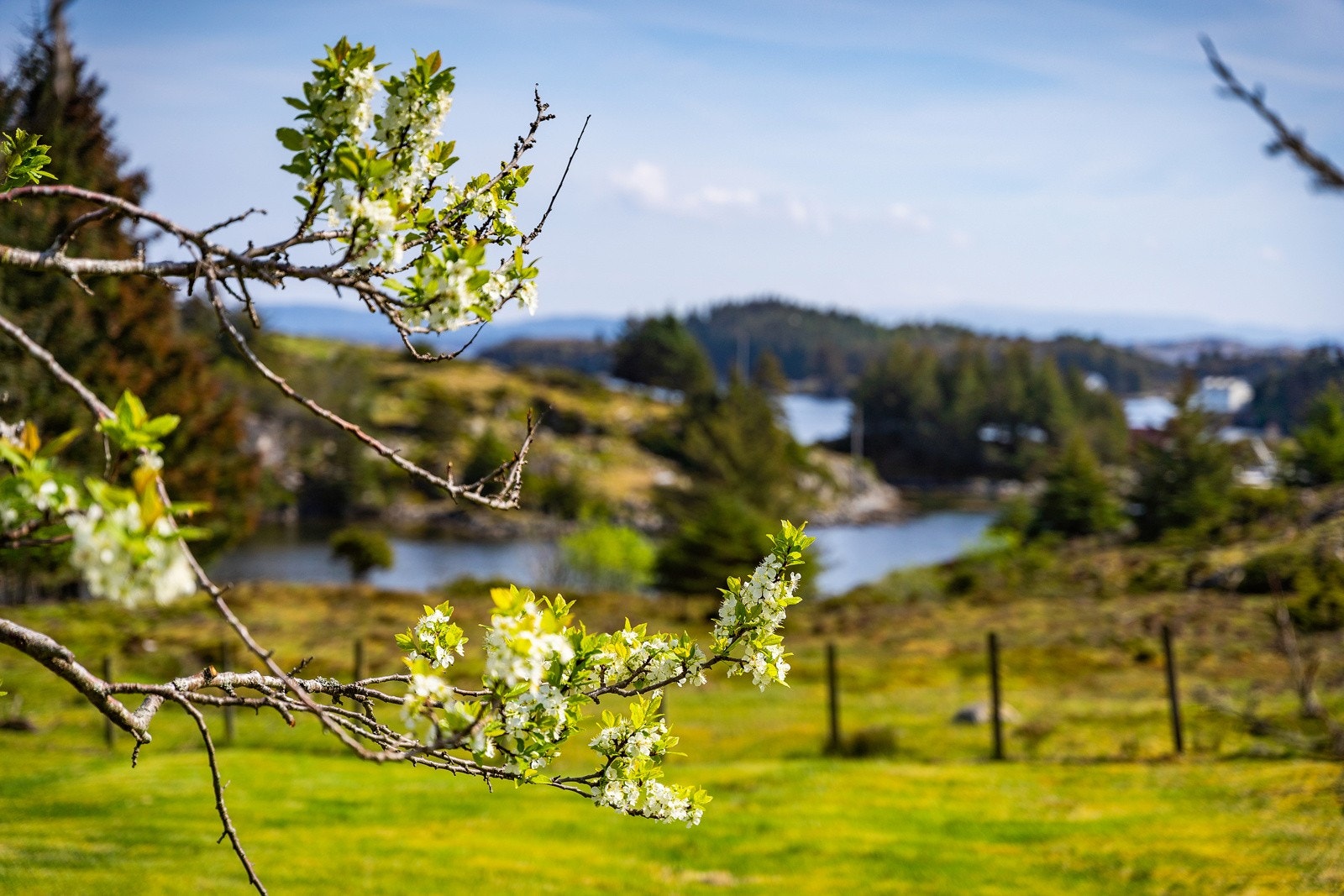 Utsikt fra soverommet. Galleribilde