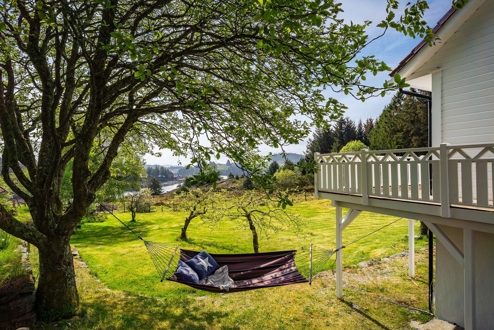 Hagen gir stor boltreplass, et perfekt sted å tilbringe sommeren. Galleribilde