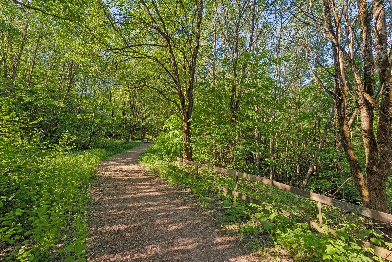 Kort gangavstand til rikelig med tur- og rekreasjonsmuligheter i marka sommer som vinter. Galleribilde