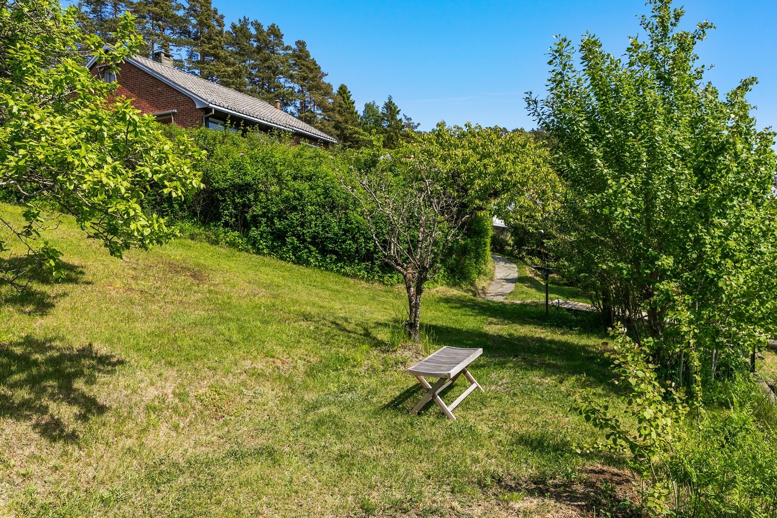 Hagedel Galleribilde