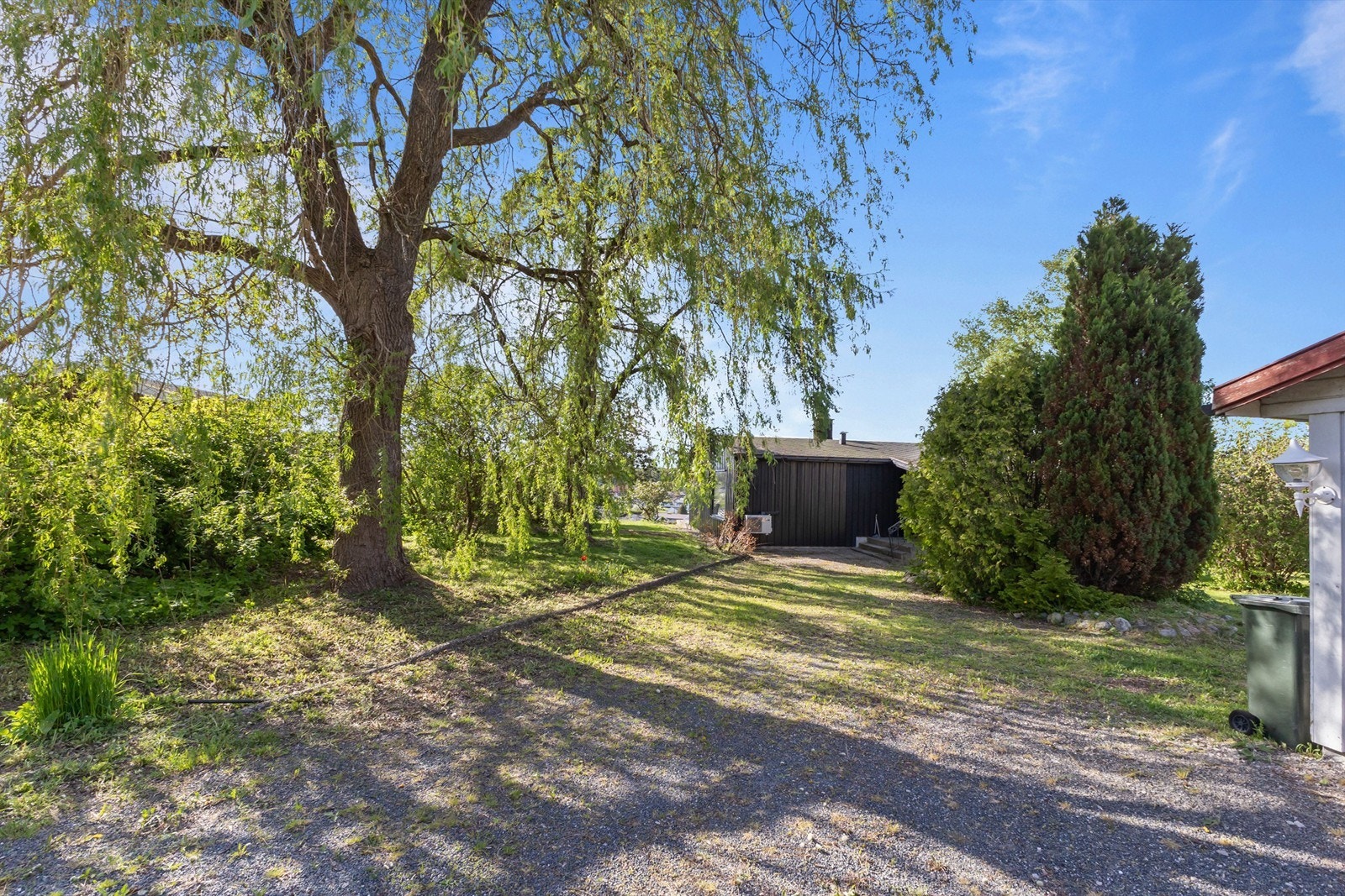 Hagen har mange flotte trær og det første du møter er det store piletreet. Galleribilde