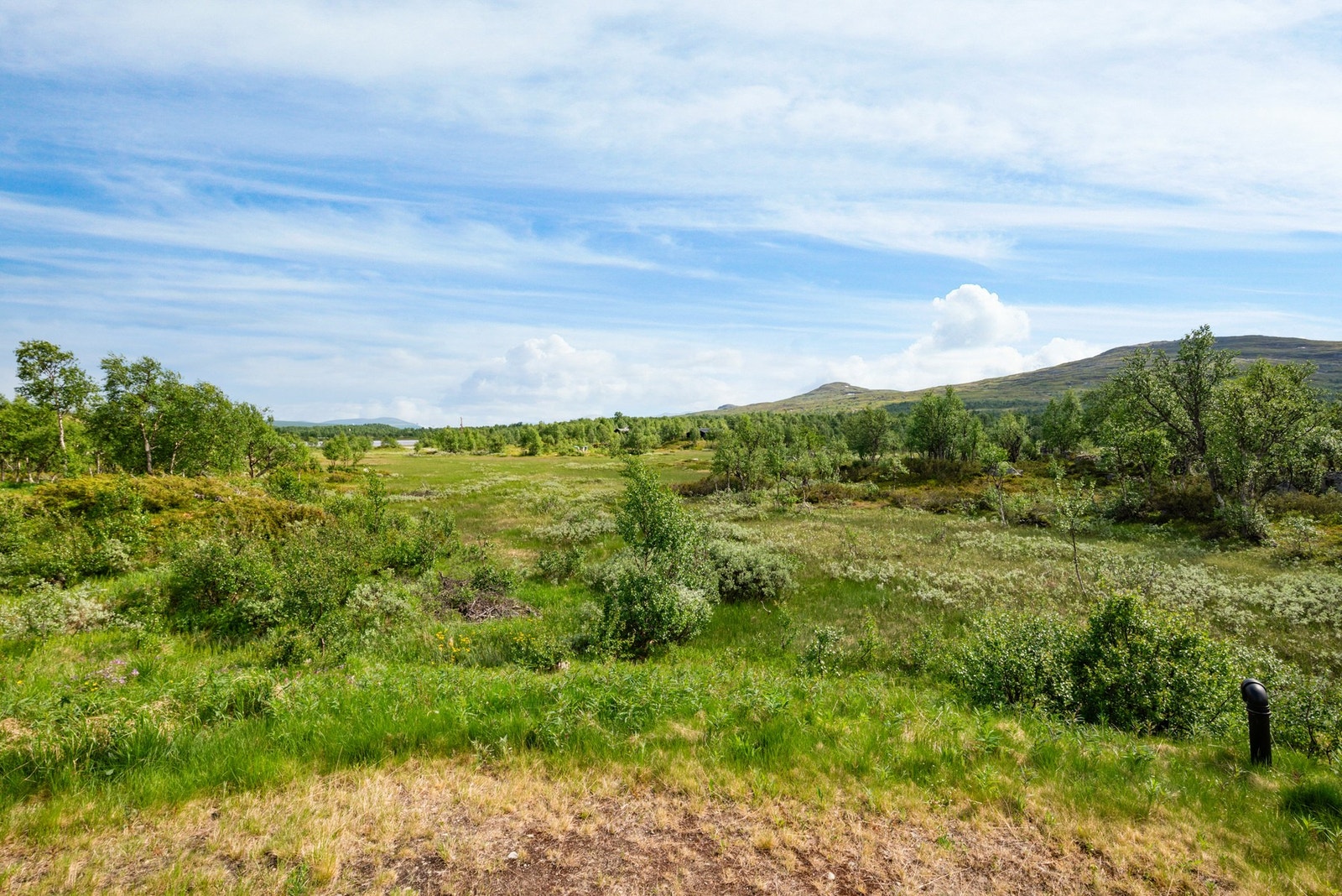 I luftlinje er det ca. 700 meter til riksgrensa. Galleribilde
