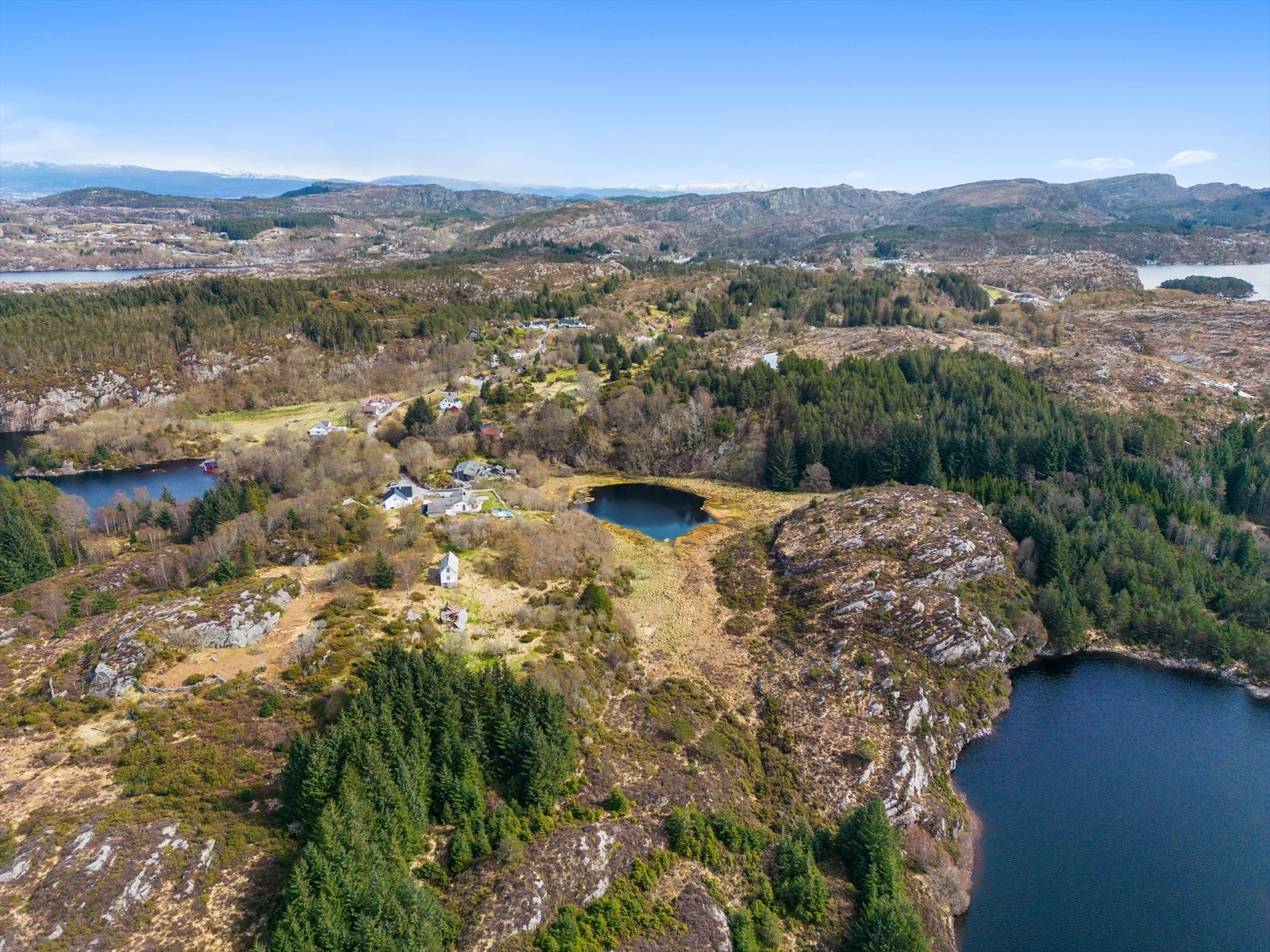 Områdebilde. Galleribilde