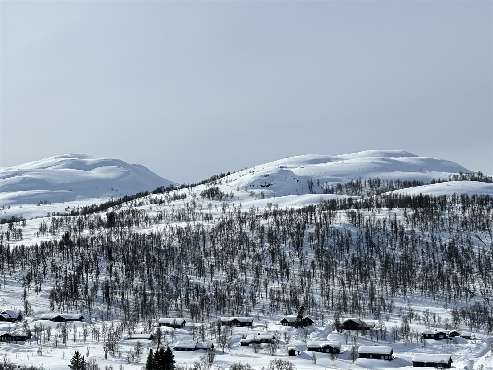 Oversiktsbilde av tomteområdet fra mars 2024 Galleribilde
