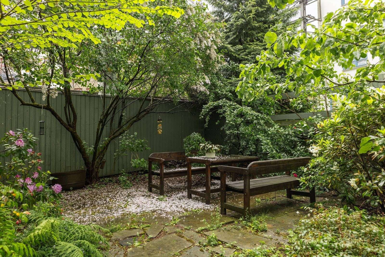 Her kan du nyte late sommerdager. Galleribilde