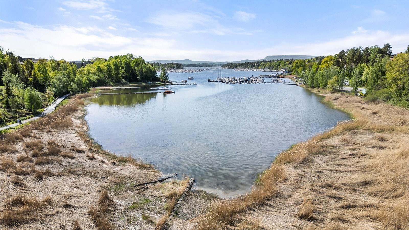 Nede ved kyststien finner du kalktørreng, ulike typer edelløvskog, barskog og kantvegetasjon Galleribilde