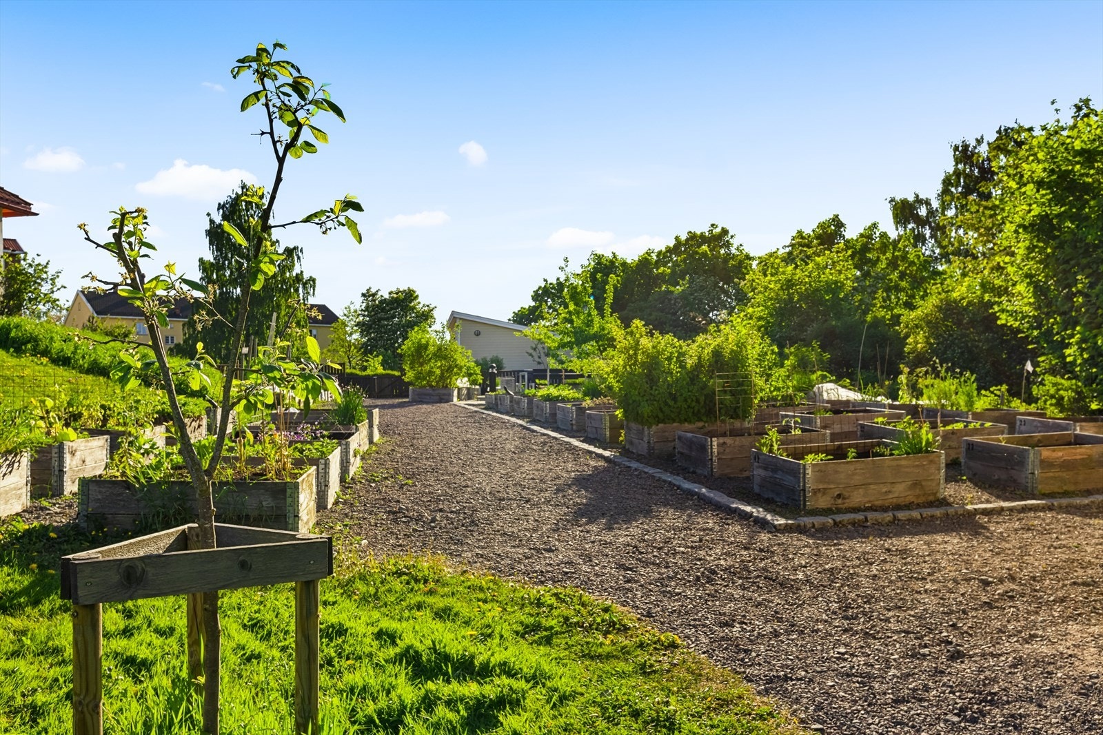 Fine uteområder Galleribilde