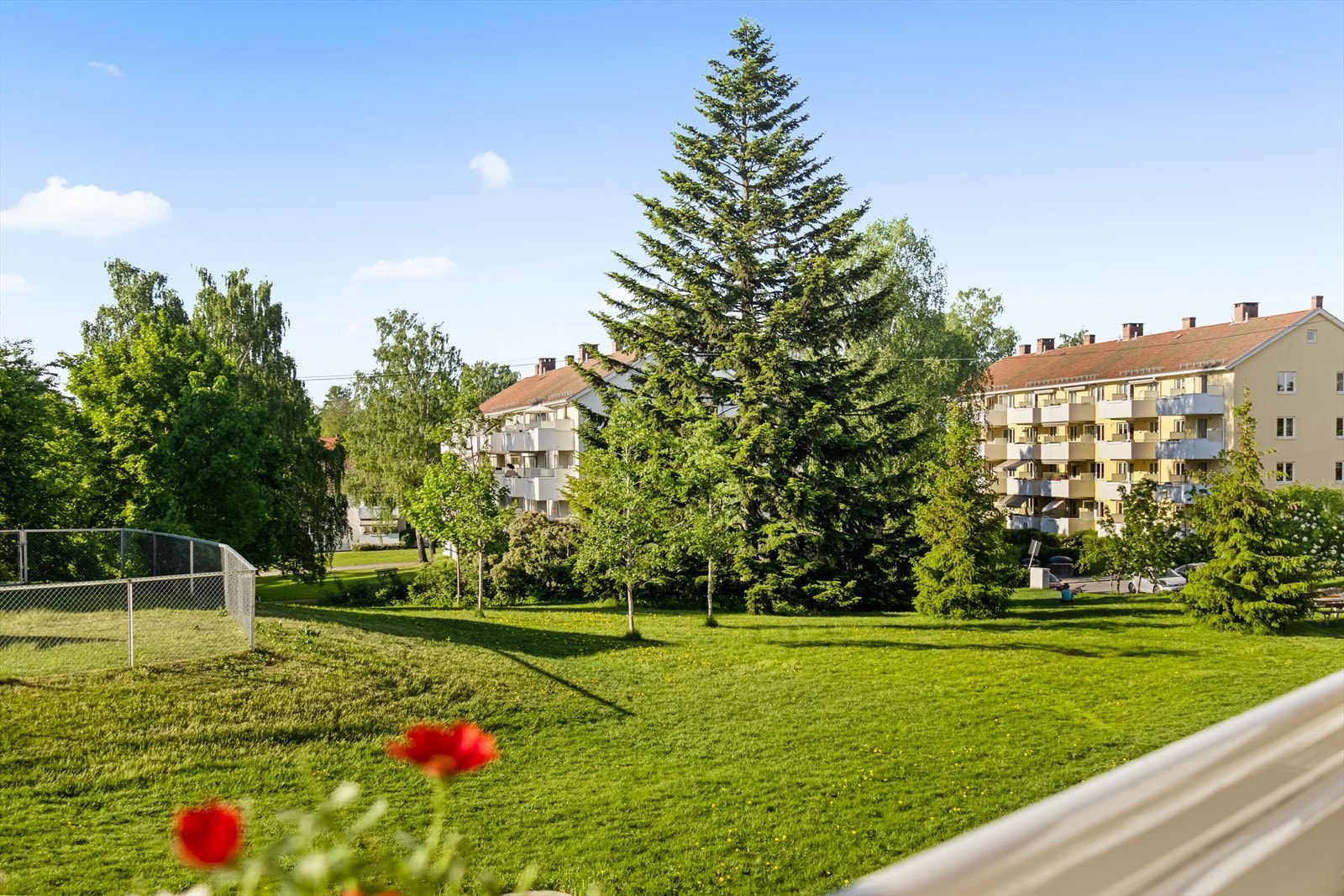 Flott utsyn over store grøntarealer Galleribilde