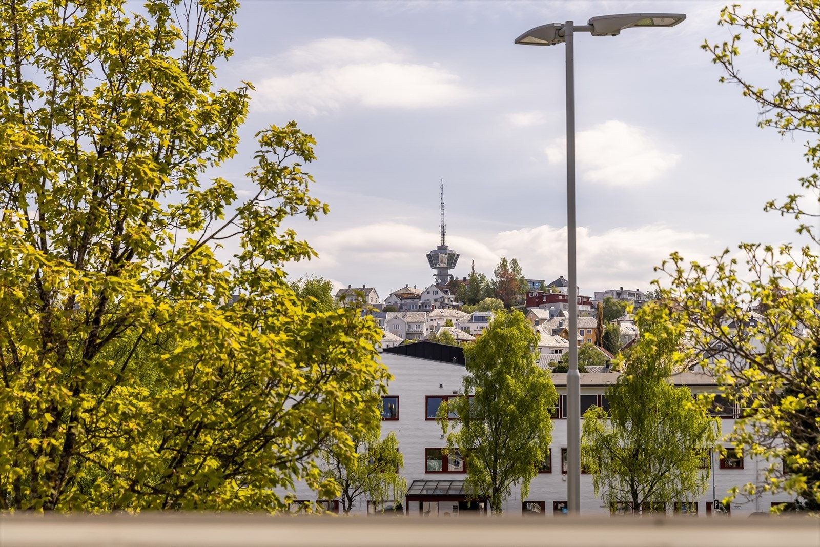 Man kan også se Tyholttårnet fra balkongen. Galleribilde