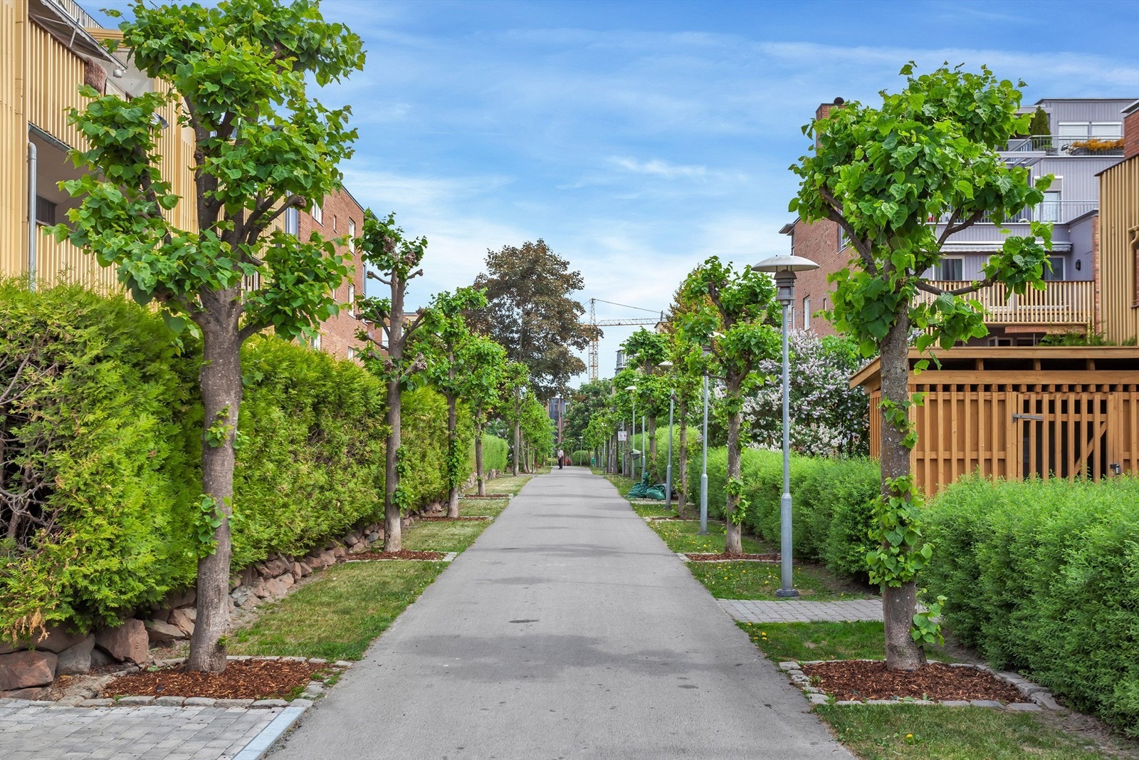 Mellom blokkene er det parkmessige opparbeide fellesarealer som holdes godt vedlike, både sommer og vinter Galleribilde