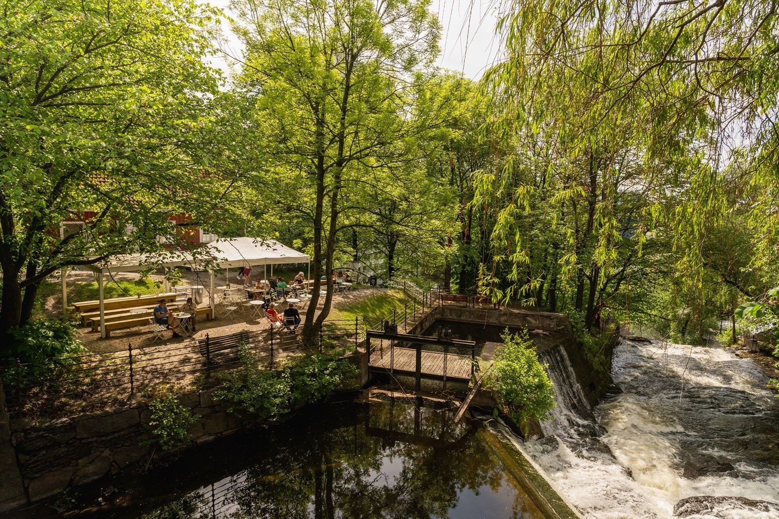 Grønne omgivelser rundt Akerselva. Galleribilde