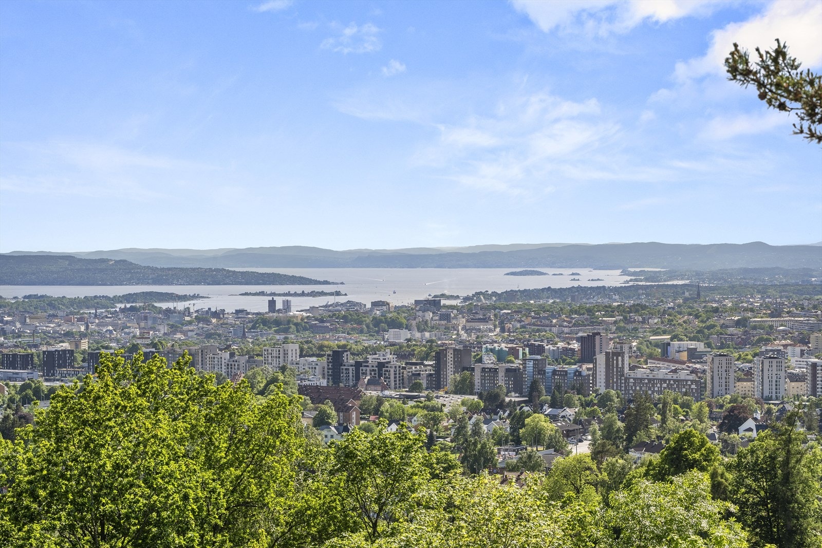 Det er en spektakulær utsikt over hele Oslo fra både leiligheten og på balkongen Galleribilde