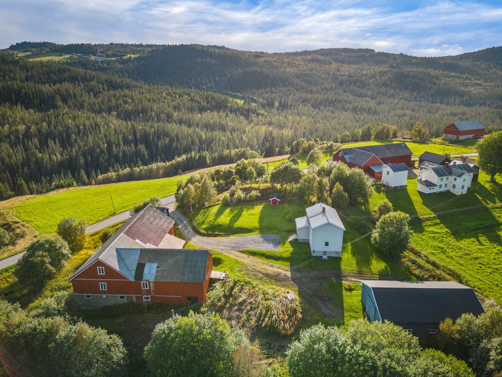 Gårdstun Galleribilde