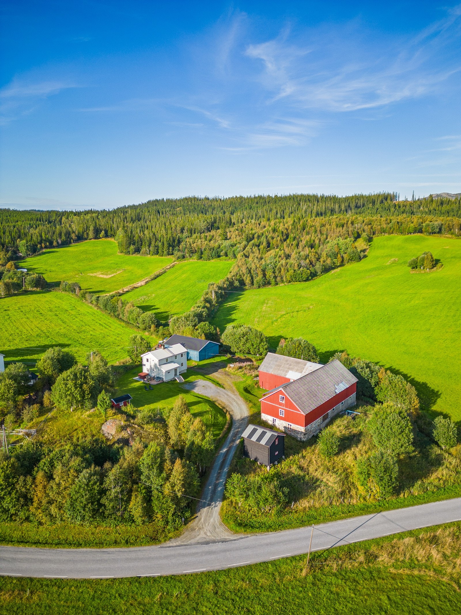 Gårdstun Galleribilde