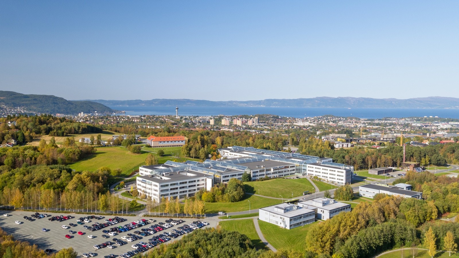 Det er kort avstand til store utdanningsinstitusjoner og arbeidsplasser som NTNU Dragvoll/Gløshaugen, SINTEF, St. Olavs Hospital, NRK og Handelshøyskolen. Galleribilde