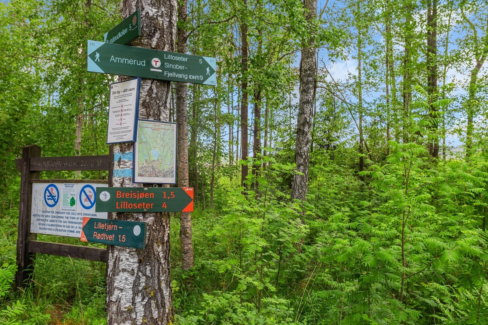 Nærområde Galleribilde