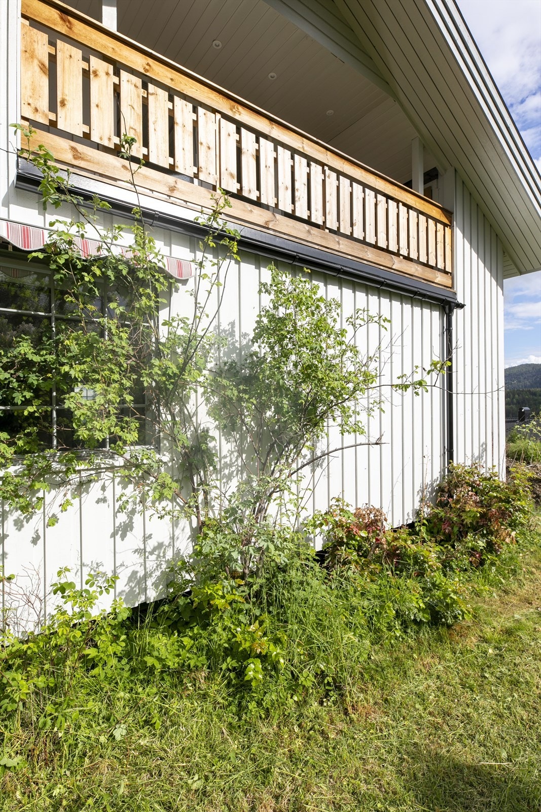 Hagen er en egen liten verden, full av eventyr og muligheter. Galleribilde