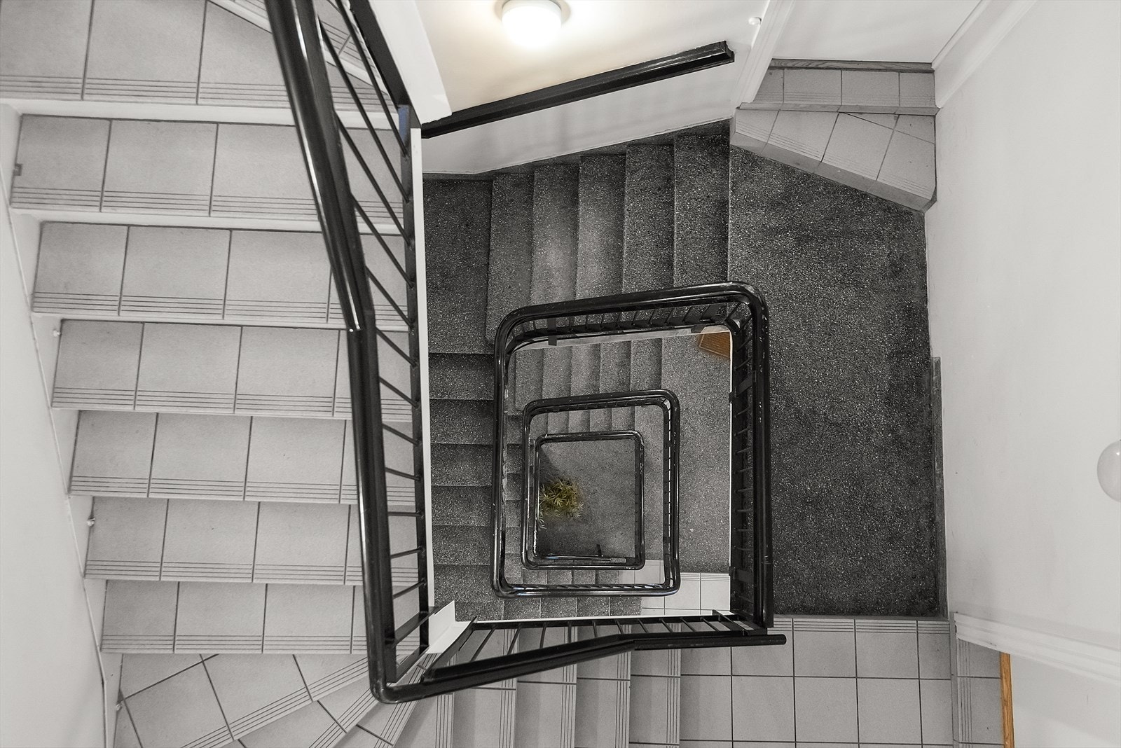 Felles trapperom. Galleribilde