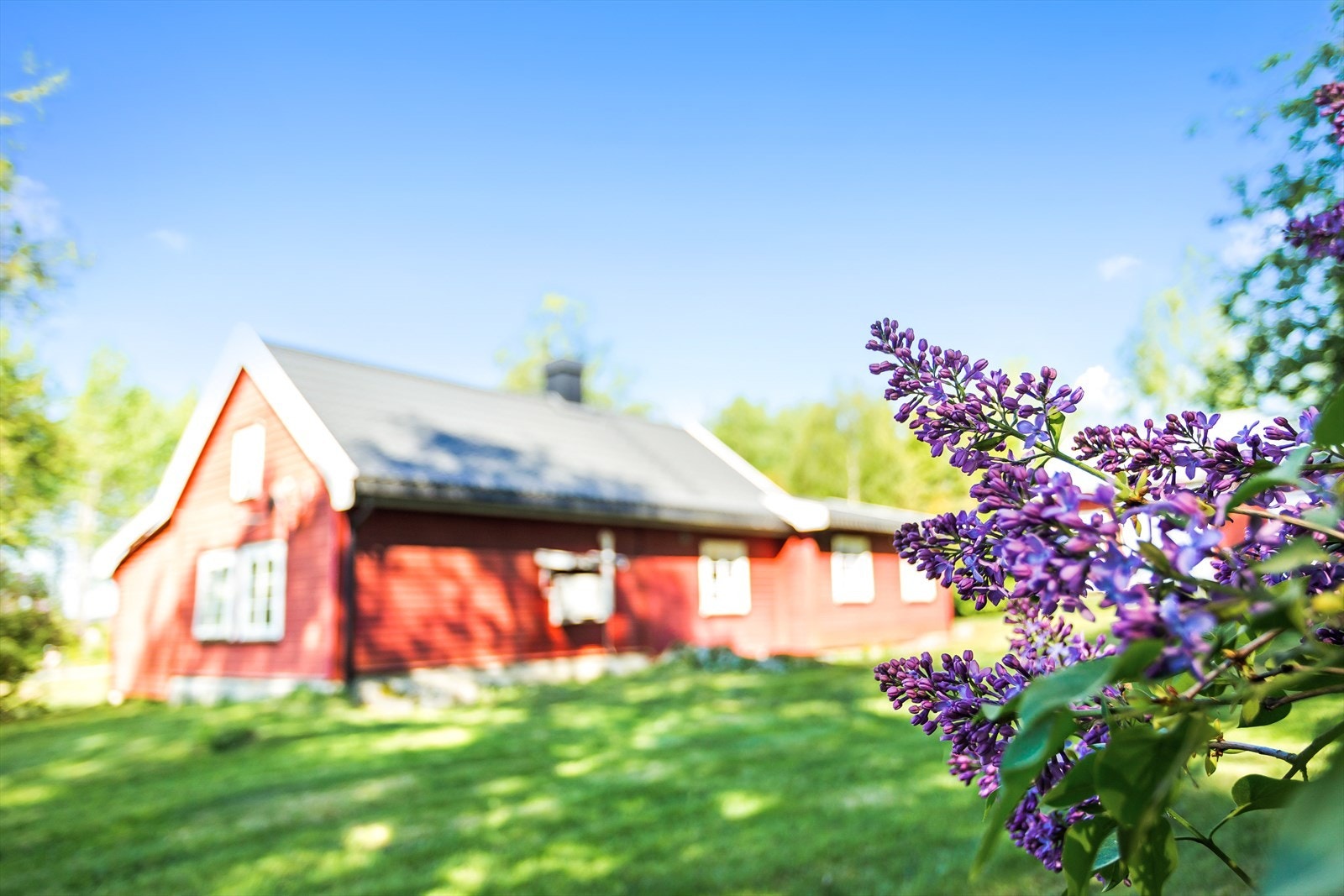 Sjarmerende hus med blomstrende hage Galleribilde