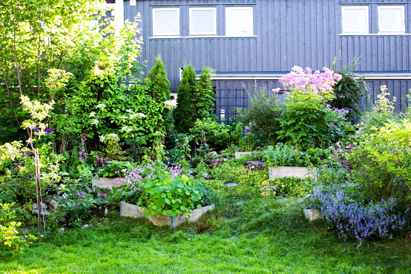 Hagen er frodig med plen og flotte bed. Galleribilde