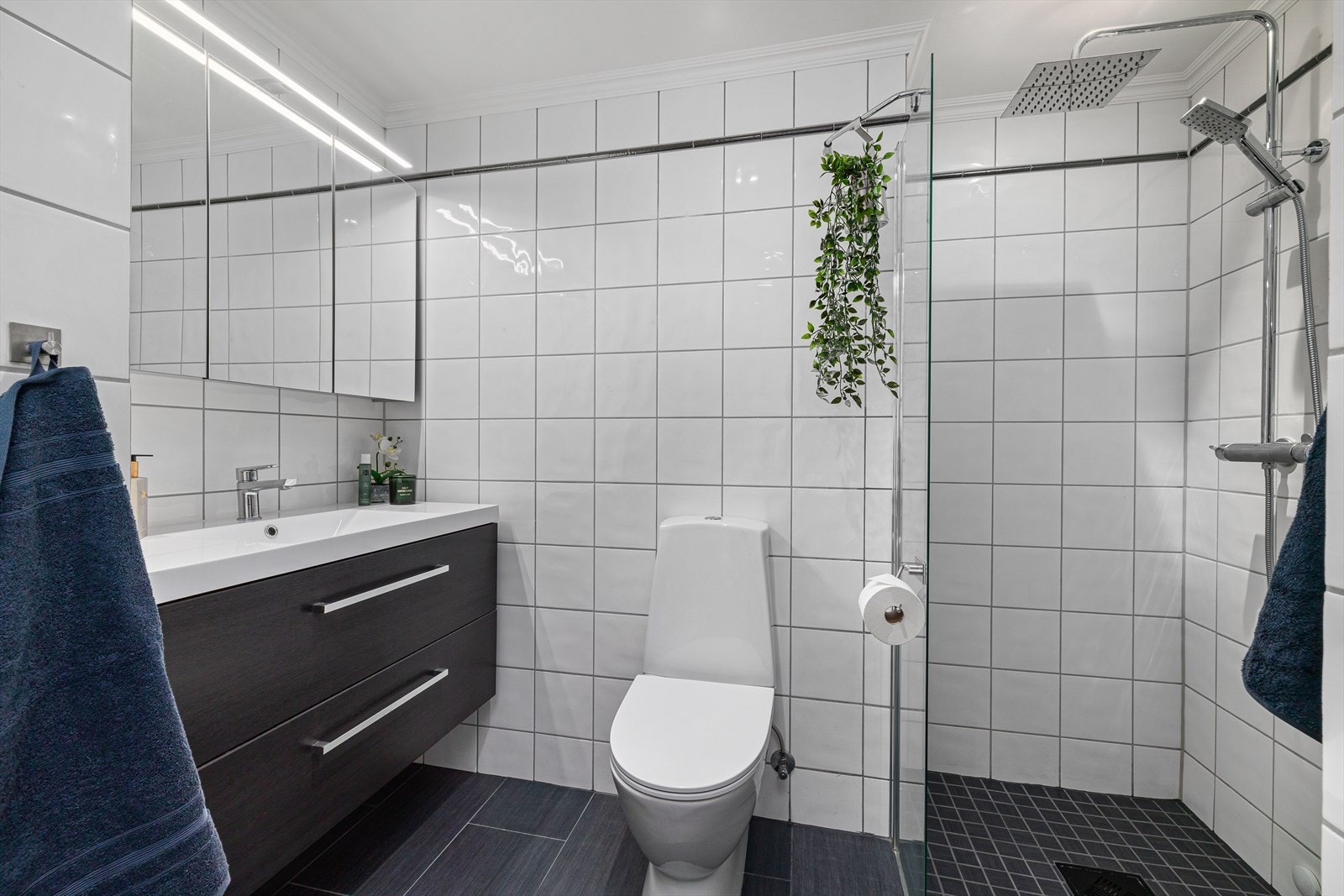 Rommet har innredning med nedfelt servant, speilskap, dusjnisje, klosett, hylle, skap og opplegg til vaskemaskin. Galleribilde