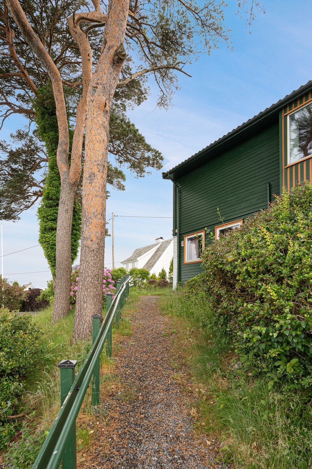 Vei opp til huset. Galleribilde