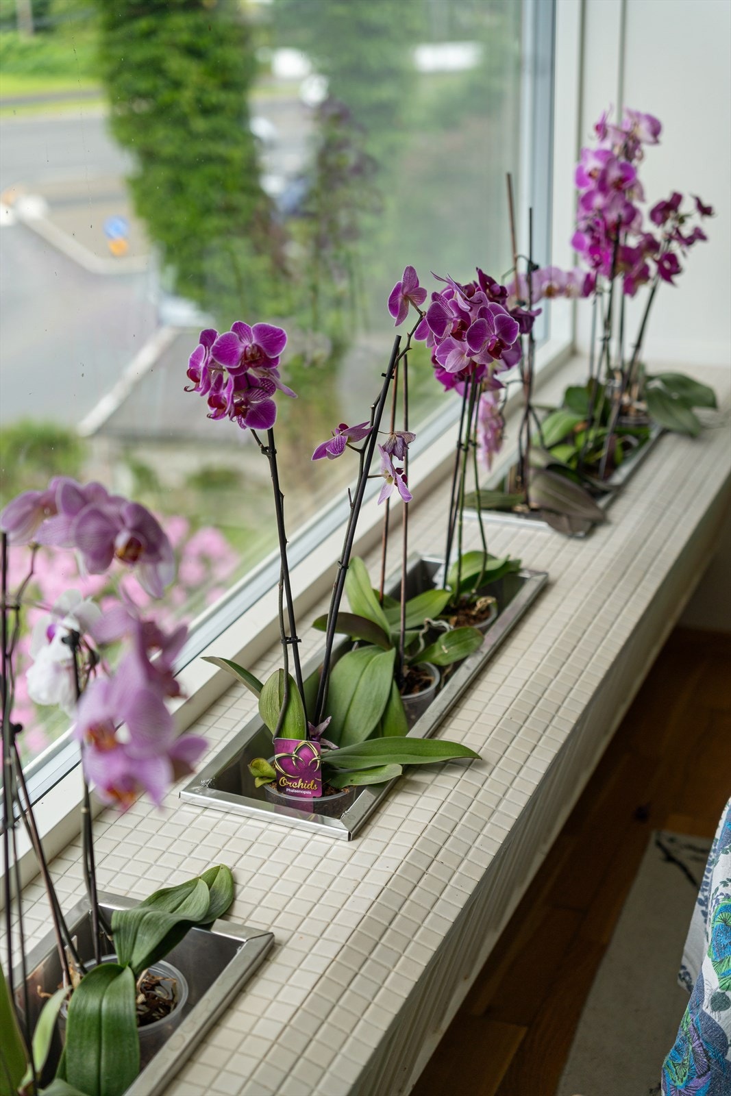 Detaljer fra byggeår. Galleribilde