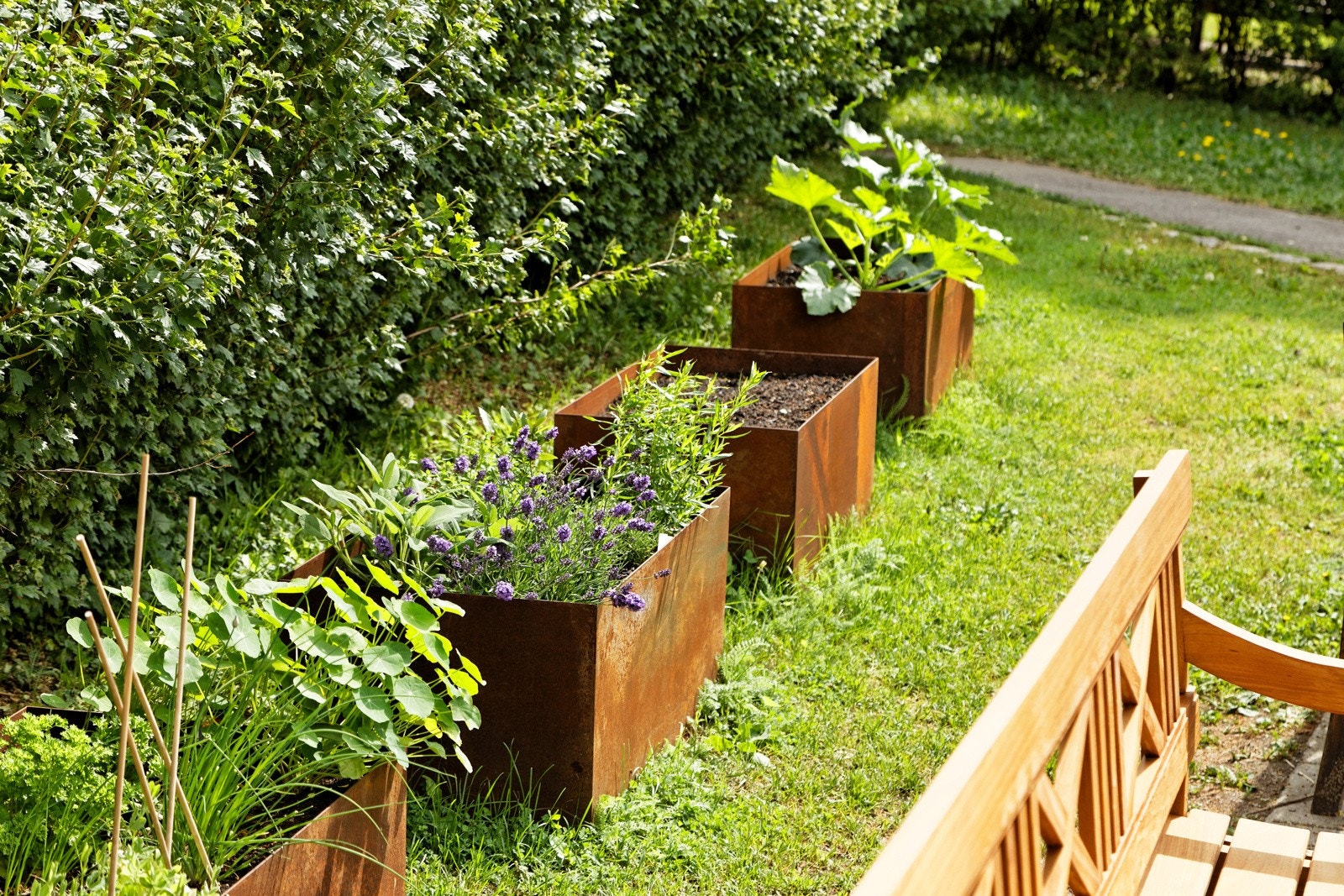 Bakgård med alle sine mulighet Galleribilde