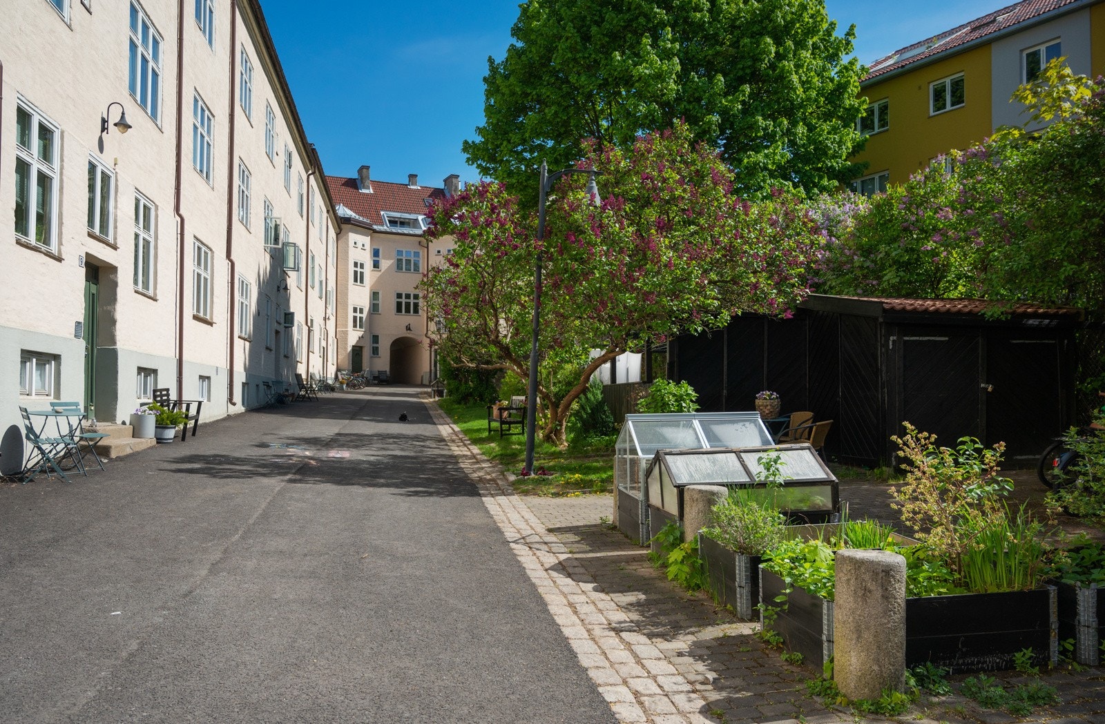 Flott bakgård med lekeplass i enden. I drivhusene i bakgården kan man dyrke sine egne grønnsaker Galleribilde